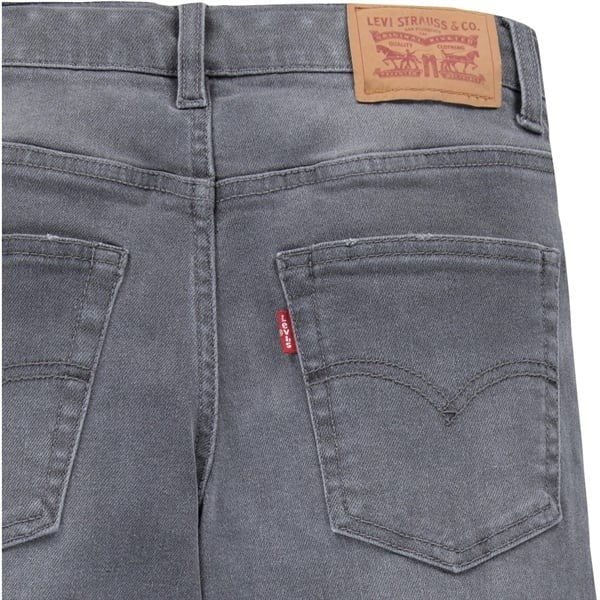 Levi s Stay Loose Taper Jeans Graphite Pencil- No Destruct Online now