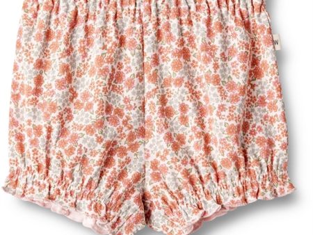 Wheat Rose Flowers Jersey Shorts Sonja For Cheap