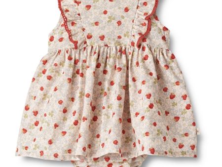 Wheat Rose Strawberries Body Klänning Suit Lace Sofia Sale