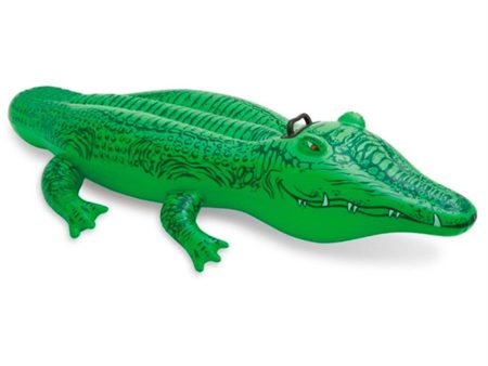 INTEX® Lil  Gator Ride-On Online