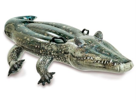 INTEX® Realistic Gator Ride-On Supply