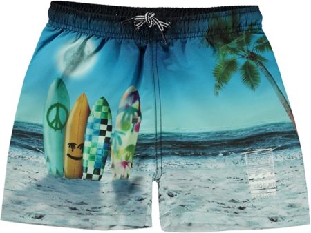 Molo Sunset Surfer Niko Badbyxor Online